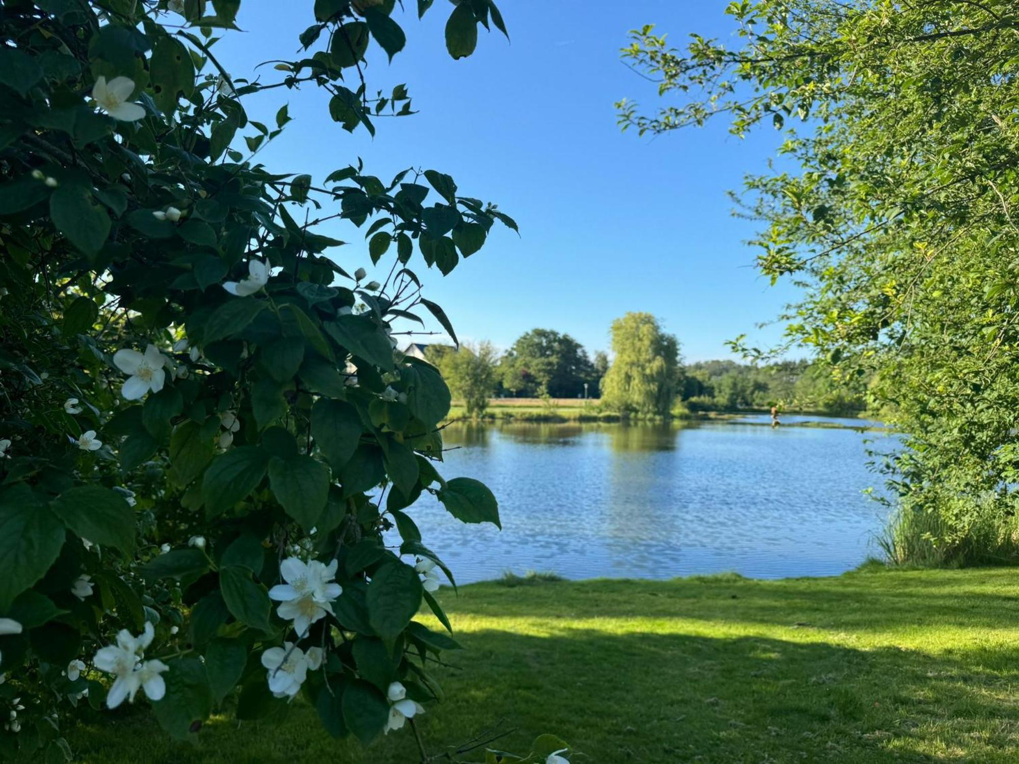 Schloss Hotel Kastellaun Buitenkant foto